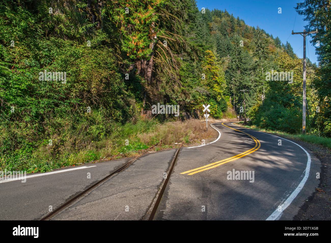 Ferrovia abbandonata a Foss Road Crossing, Coast Range, Tillamook State Forest, vicino alla città di Nehalem, Oregon, USA Foto Stock