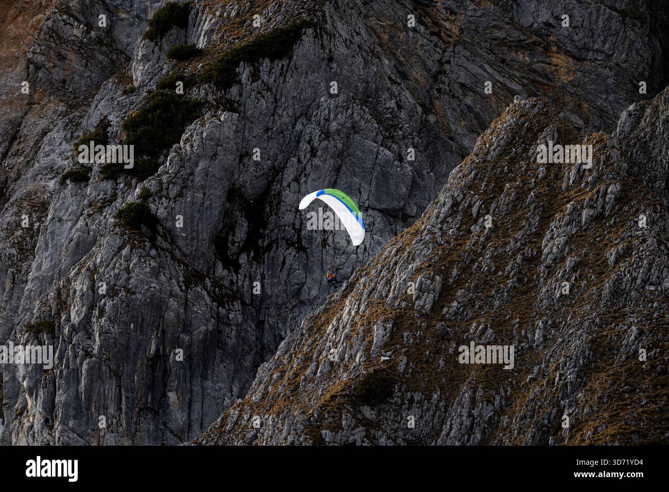 Parapendio contro le scogliere Wilder Kaiser Foto Stock