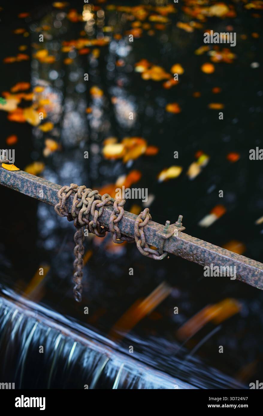 Catena metallica arrugginita con foglie autunnali di fondo che galleggiano sull'acqua. Foto Stock