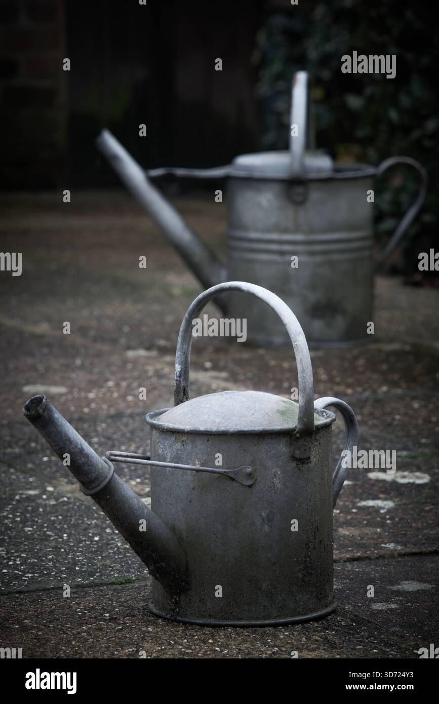 Annaffiatoi in metallo galvanizzato per giardinaggio senza plastica. Foto Stock