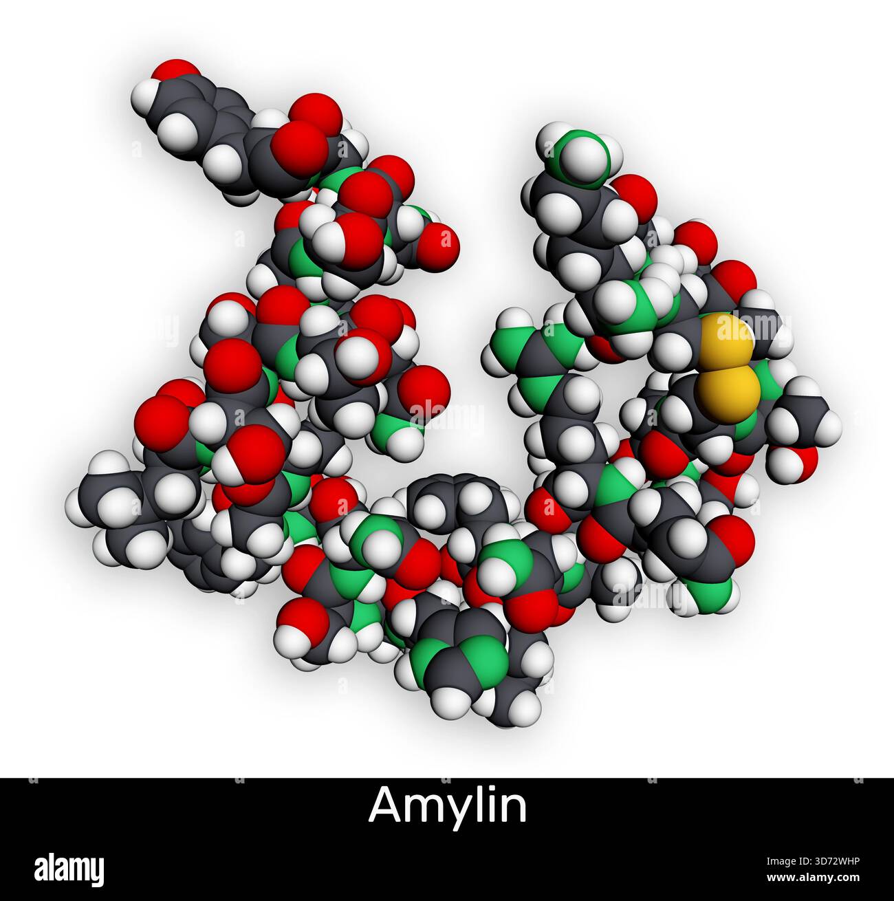 Molecola dell'ormone peptidico Amylin (IAPP). Coinvolto nel metabolismo del glucosio, nella funzione pancreatica e nella formazione di amiloidi. Modello atomico Spacefill. Rendering 3D. Foto Stock