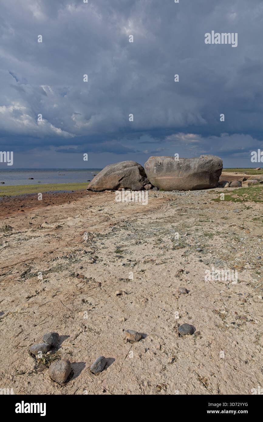 Paesaggio costiero del Baltico con massi di Näärikivid, grandi massi erratici glaciali, queste grandi rocce si trovano su un mix di sabbia, erba e alghe nelle nuvole Foto Stock