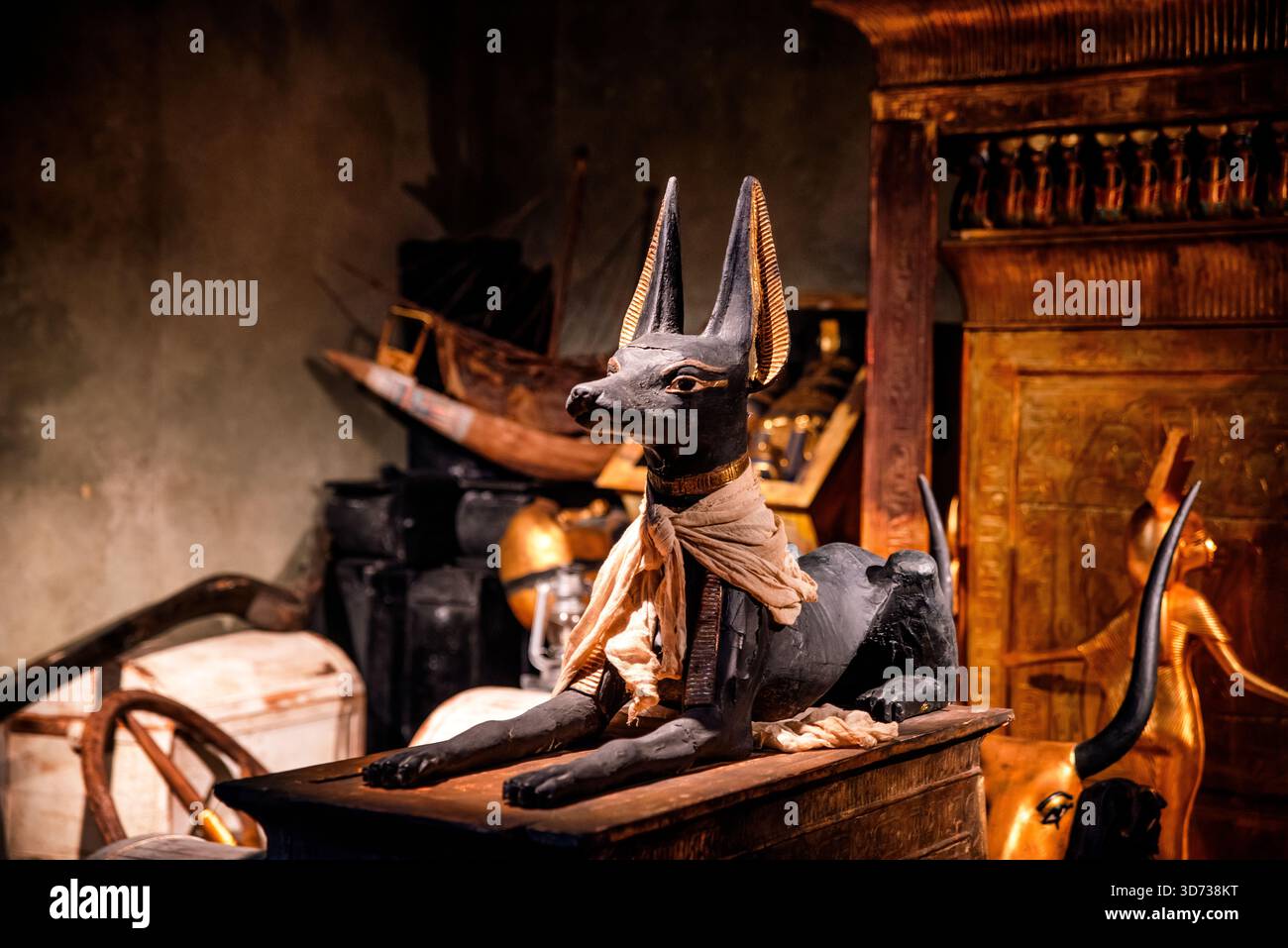 Statua di Anubis esposta tra manufatti egizi in una mostra Tutankhamon, che sottolinea il significato religioso simbolico, l'artigianato dettagliato A. Foto Stock