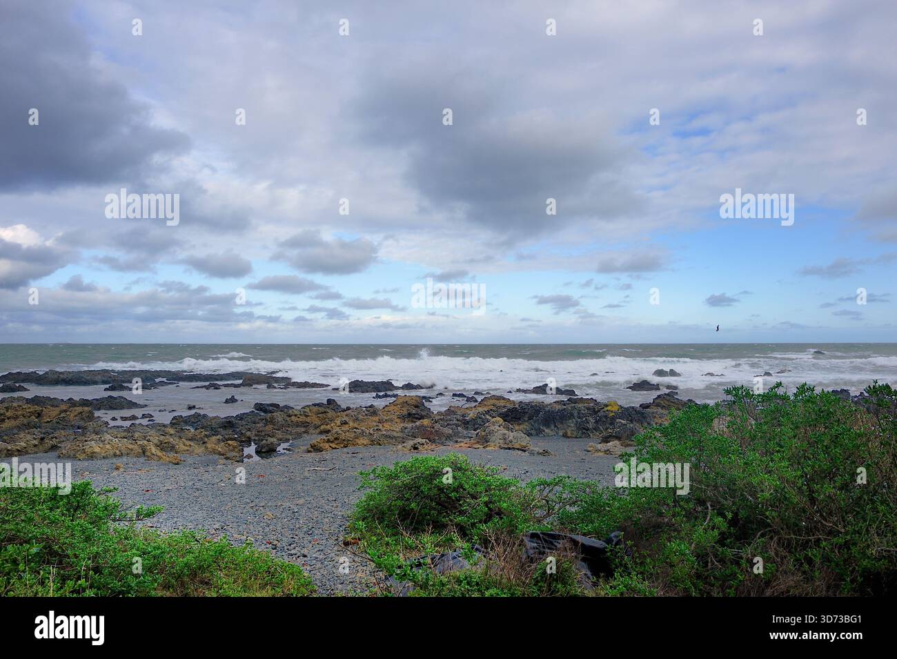 Onde di tempesta che portano i detriti galleggianti Foto Stock