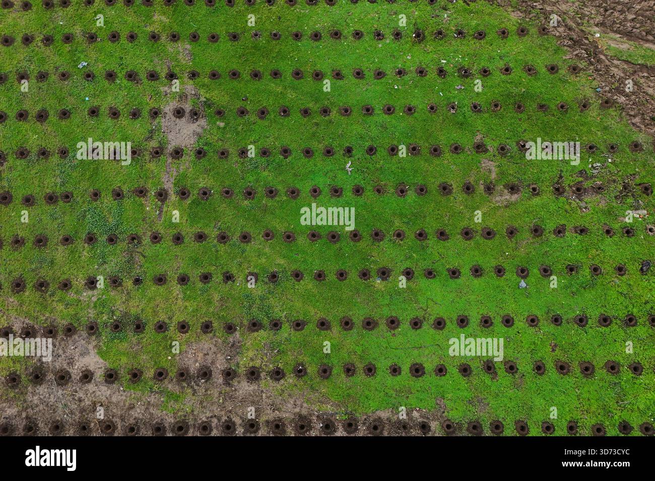 Vista aerea con un pezzo di terreno con fori scavati per piantare alberi. Foto Stock