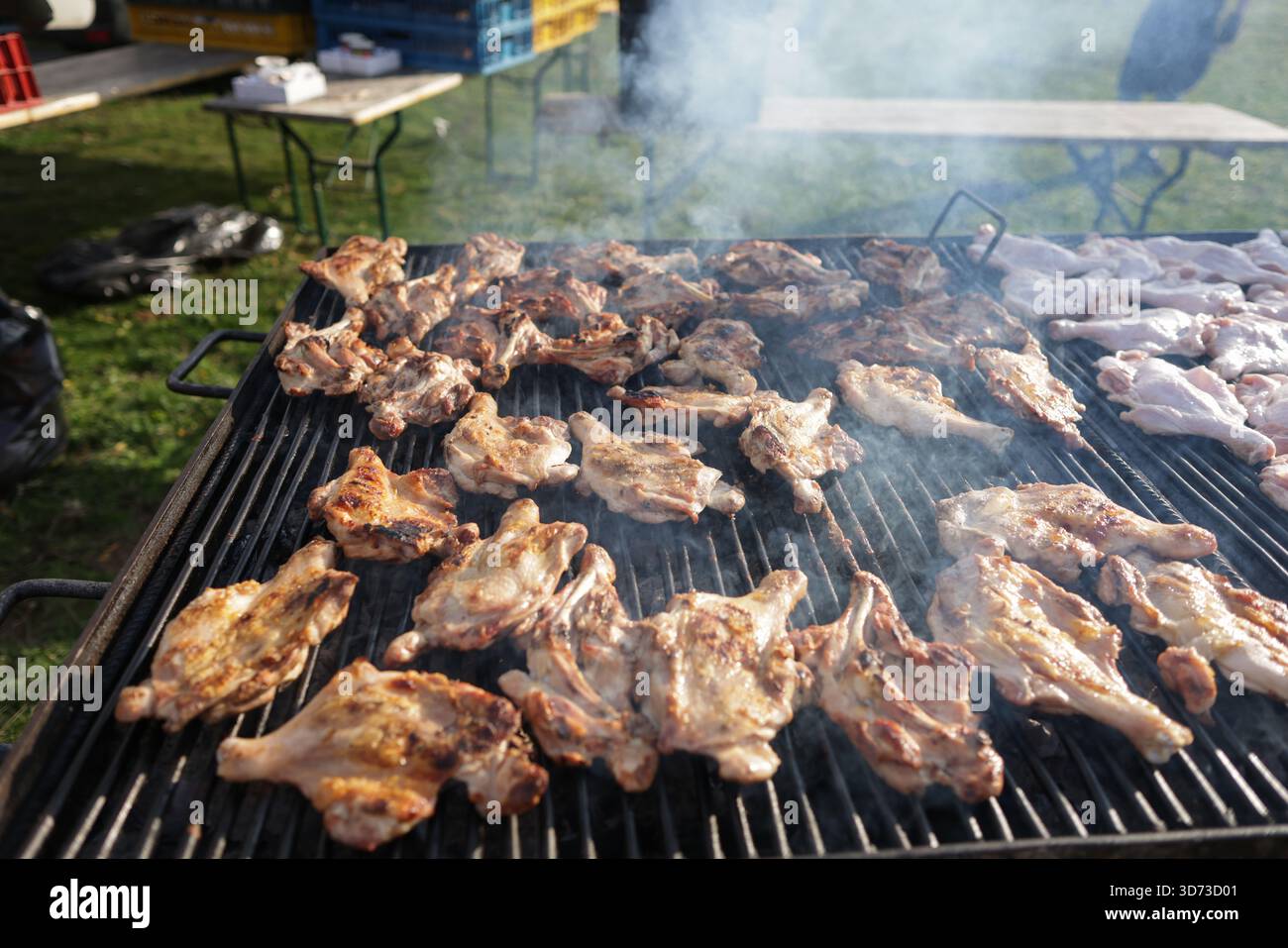 Profondità di campo bassa (messa a fuoco selettiva) dettagli con cosce di pollo su un barbecue di metallo all'aperto durante una giornata di sole. Foto Stock
