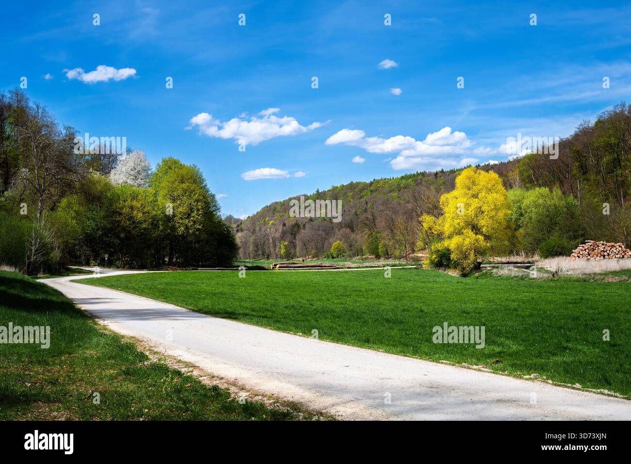 Paesaggio idilliaco nella valle dello Shtuttertal vicino a Neuburg Foto Stock