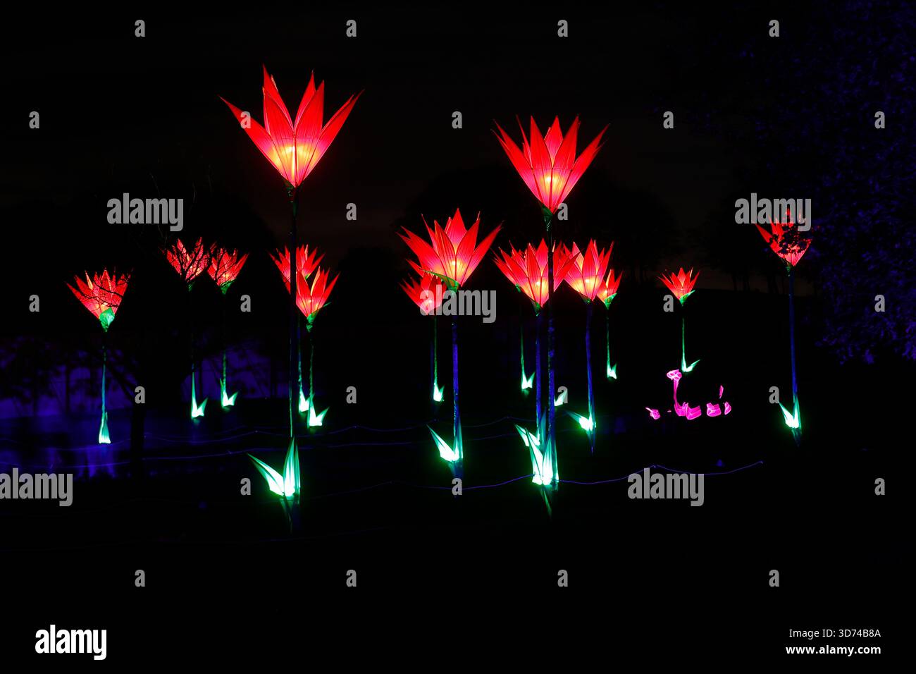 Light Blooms è un'installazione di luci all'evento Northern Lights presso Temple Newsam a Leeds, West Yorkshire, Regno Unito Foto Stock