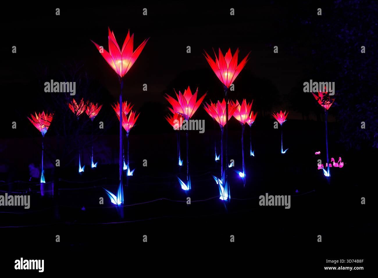 Light Blooms è un'installazione di luci all'evento Northern Lights presso Temple Newsam a Leeds, West Yorkshire, Regno Unito Foto Stock