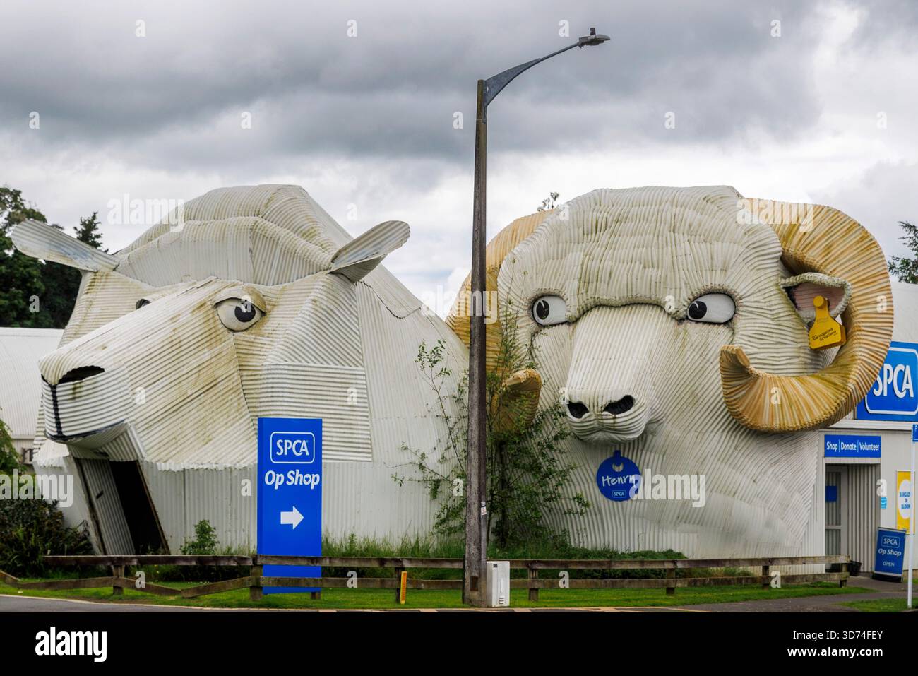 Le sculture in ferro ondulato sono state realizzate dall'artista Steven Clothier e consistono in un trio di un gigantesco pecora metallica, ariete e cane da pastore nella città rurale di Tirau Foto Stock
