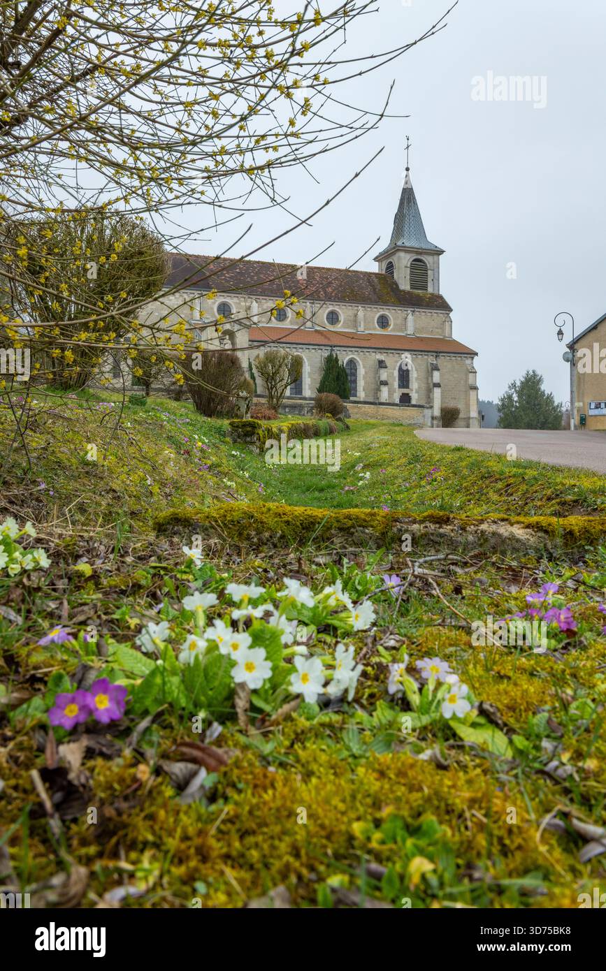 Chiesa del villaggio in piedi su una collina con primrose e muschio in primo piano Foto Stock