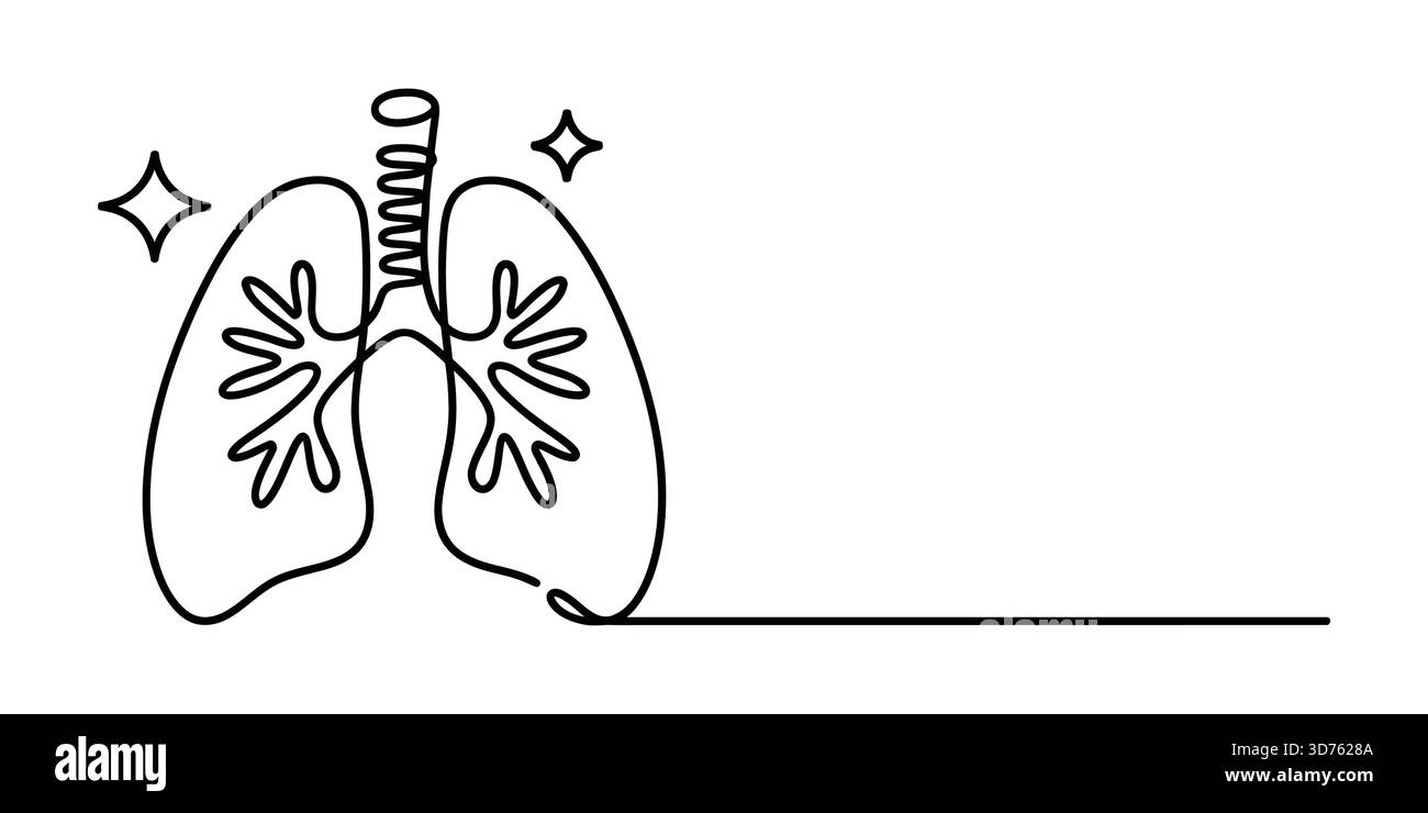 Disegno continuo di polmoni umani sani, illustrazione dell'organo respiratorio Illustrazione Vettoriale