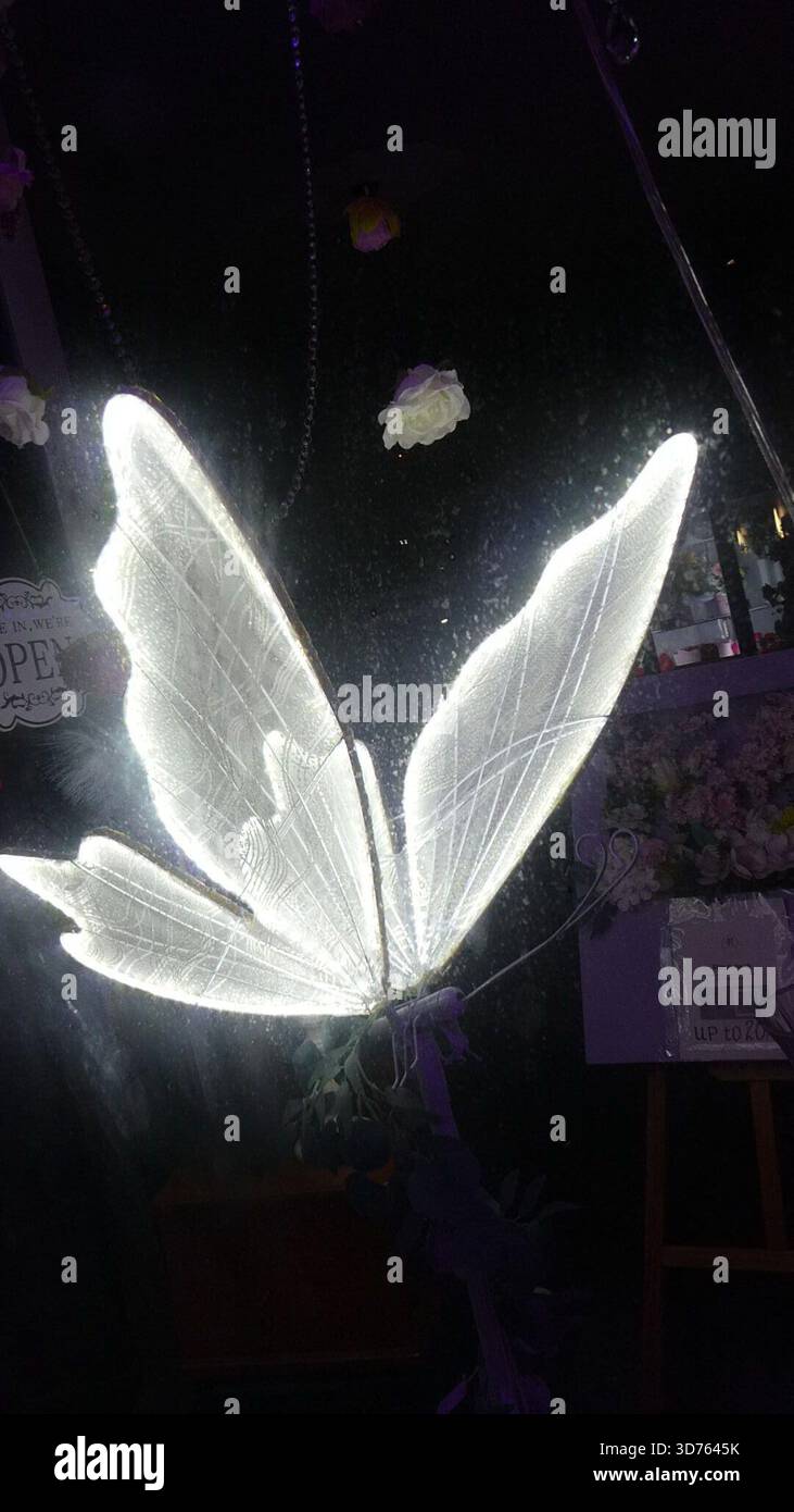Los Angeles, California, USA 23 novembre 2025 Butterfly Light Christmas Lights il 23 novembre 2025 a Los Angeles, California, USA. Foto di Barry King/Alamy Stock Photo Foto Stock