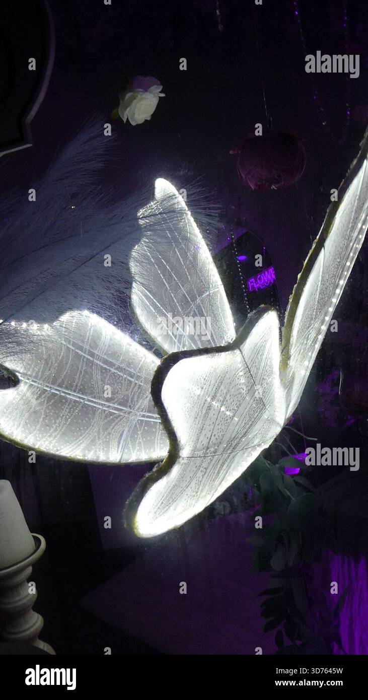 Los Angeles, California, USA 23 novembre 2025 Butterfly Light Christmas Lights il 23 novembre 2025 a Los Angeles, California, USA. Foto di Barry King/Alamy Stock Photo Foto Stock