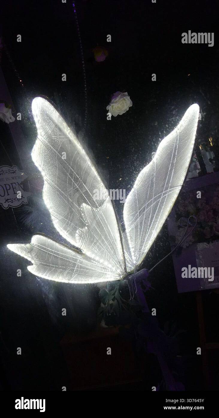 Los Angeles, California, USA 23 novembre 2025 Butterfly Light Christmas Lights il 23 novembre 2025 a Los Angeles, California, USA. Foto di Barry King/Alamy Stock Photo Foto Stock