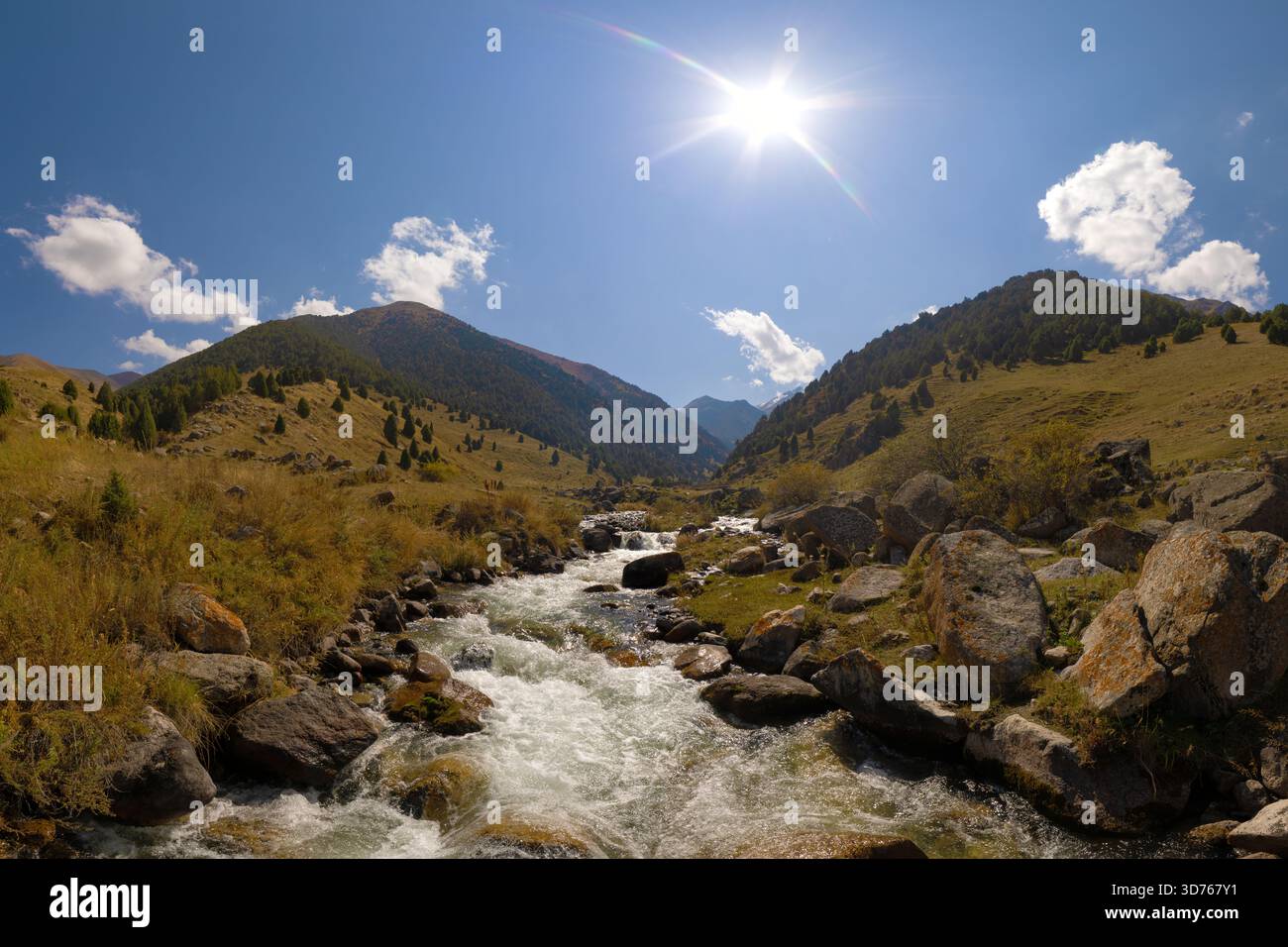 Mountain River Cascading Over Rocks nella soleggiata Valle Foto Stock