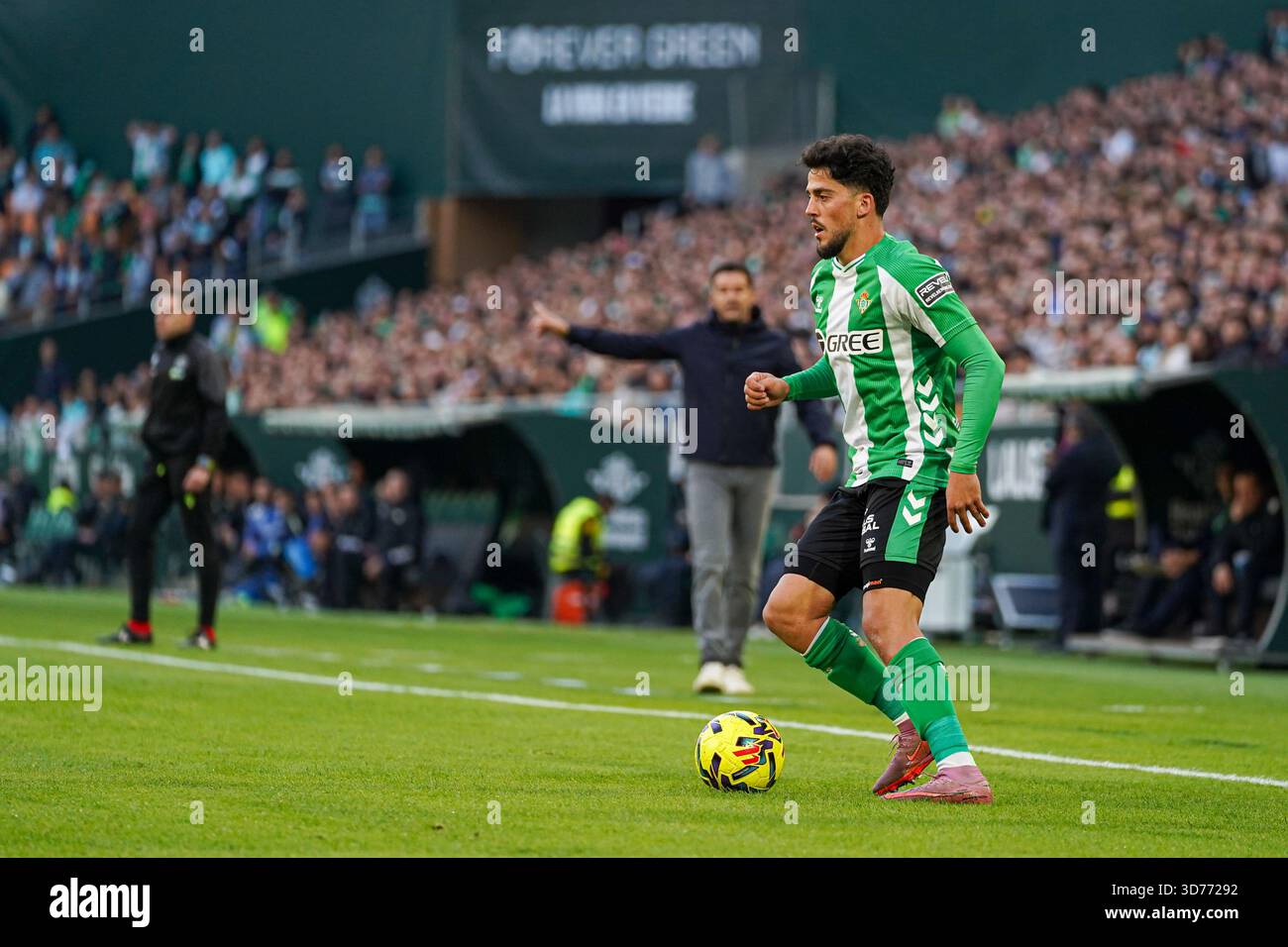 Siviglia, Spagna. 23 novembre 2025. Pablo Fornals (Real Betis) durante la partita di LaLiga tra Real Betis e Girona FC, allo stadio la Cartuja. Foto Stock