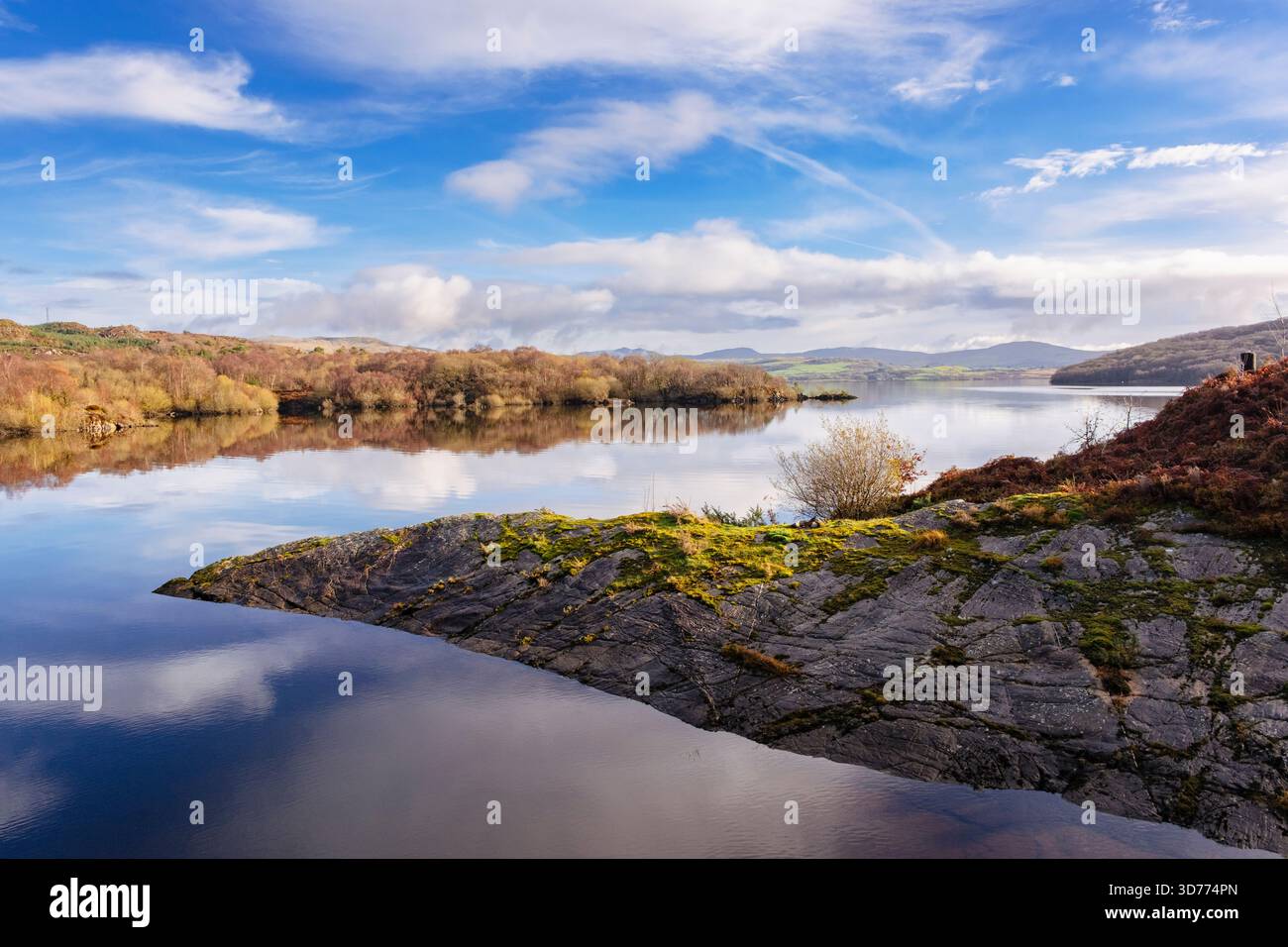 Scena tranquilla del lago artificiale Llyn Trawsfynydd all'inizio dell'autunno nel Parco nazionale di Snowdonia. Trawsfynydd, Bleanau Ffestiniog, Gwynedd, Galles, Regno Unito Foto Stock