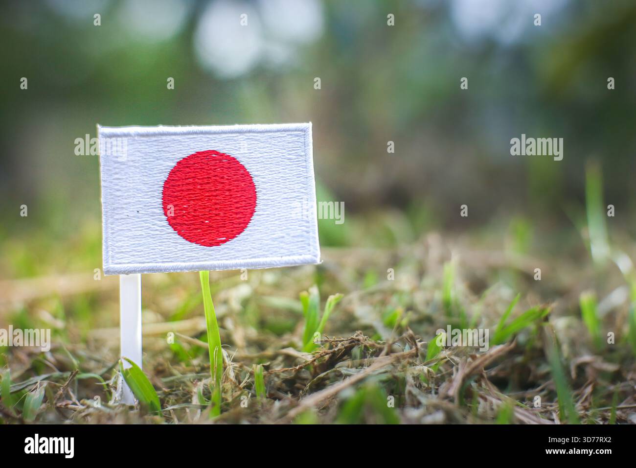 Bandiera giapponese in un tranquillo ambiente boschivo. Concetto di Zen, Satoyama, Net Zero, giornata della Terra e conservazione della foresta asiatica. Foto Stock