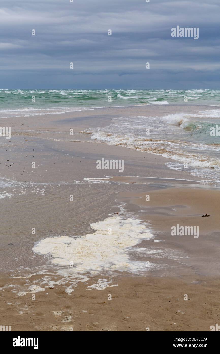 Burger Di Merluzzo D'Alaska – Lidl - Foto 4