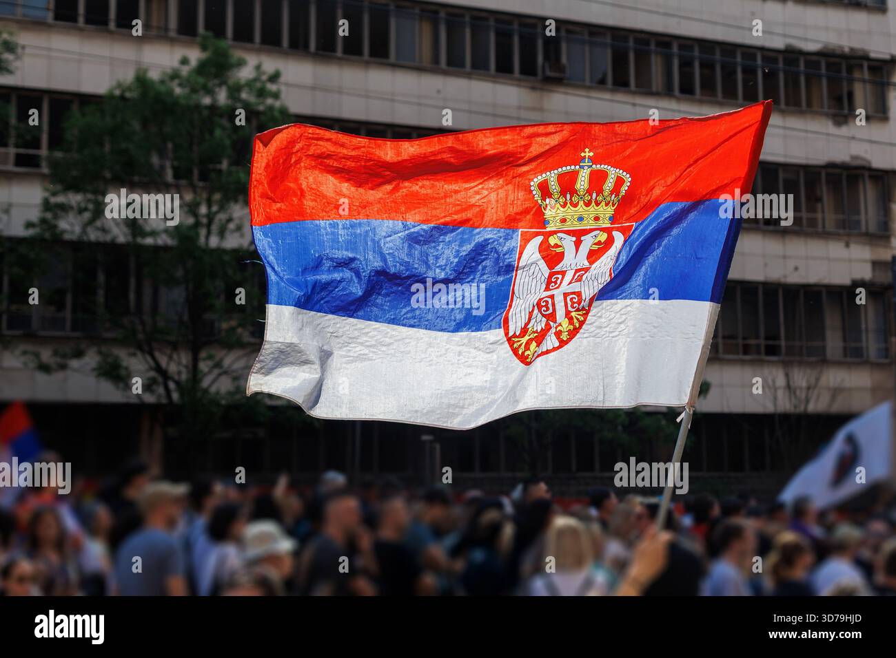 La bandiera serba è stata esposta con orgoglio durante un raduno pubblico Foto Stock