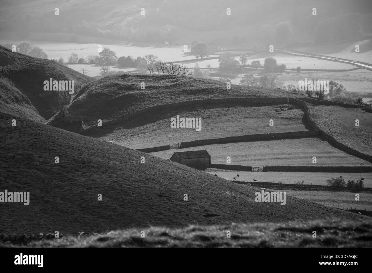 Campi di patchwork a Wharfedale, Yorkshire Dales National Park Foto Stock