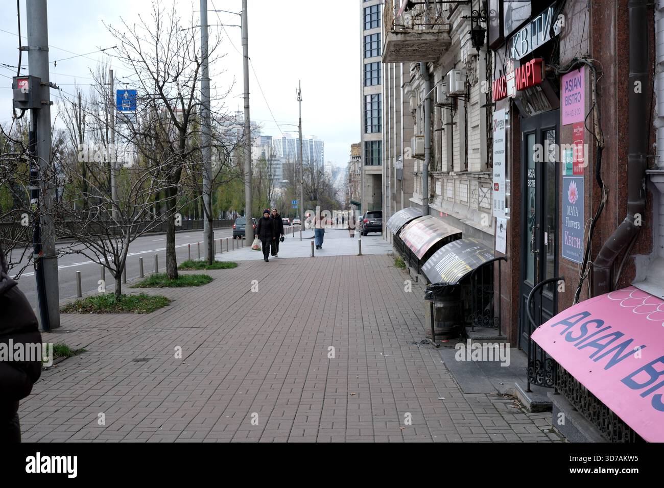 Due persone passeggiano lungo una strada trafficata della città costeggiata da negozi e alberi. 24 novembre 2025, Kiev, Ucraina, Shevchenko Boulevard Foto Stock
