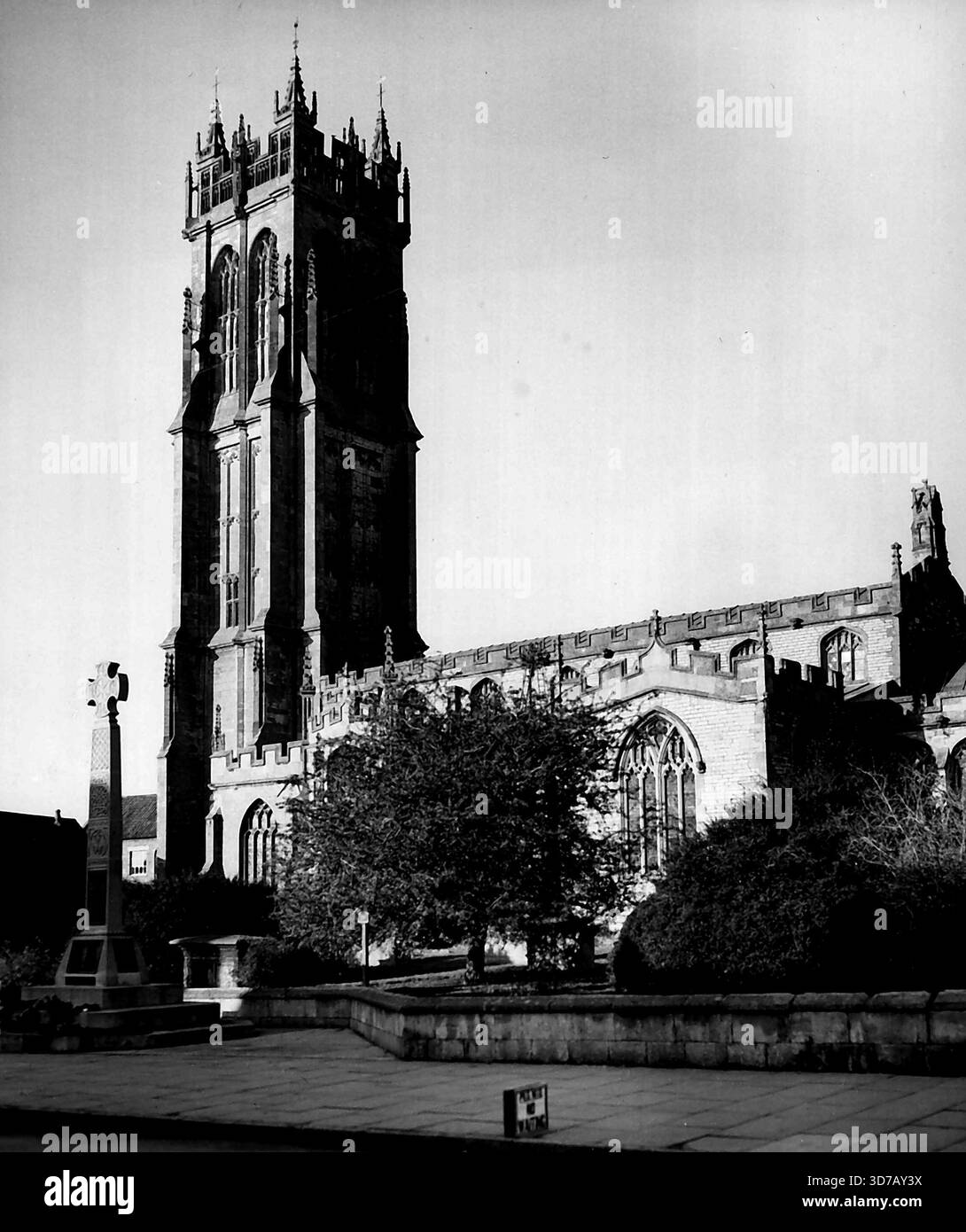 Ruined Cradle of the English ChurchSt. La chiesa di Giovanni Battista, Glastonbury, con la fiorente Sacra spina nel cimitero. La chiesa, con una delle più belle torri perpendicolari del Somerset, fu costruita dall'abate John Selwood nel 1485. 1° gennaio 1949. Foto Stock