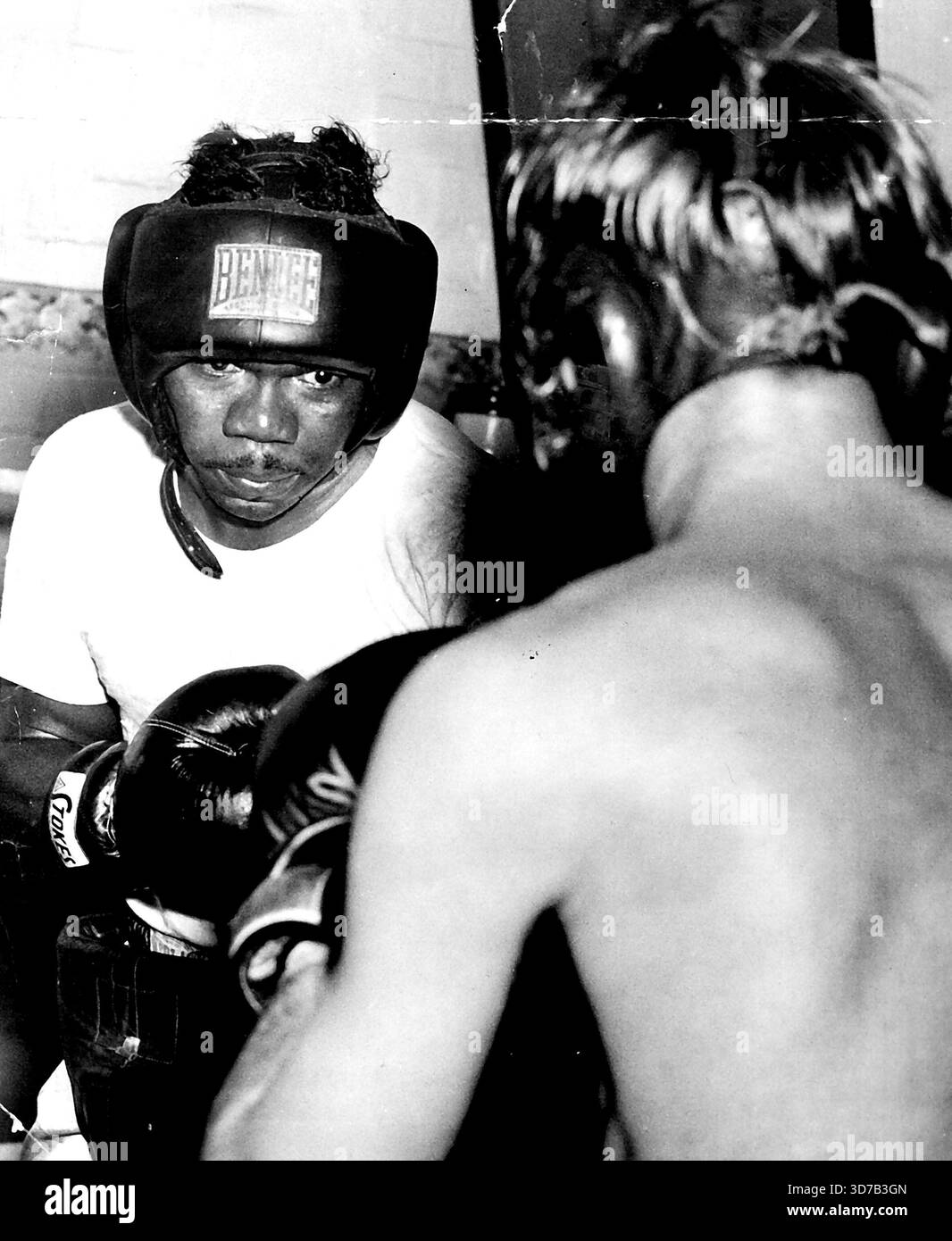 Fred Dawson, contendente per il titolo mondiale dei pesi welter, dice:-'vincerò entro sei round'sarò fuori per un knockout dalla prima campana.'se questo ragazzo può mettermi giù buona fortuna a lui.'Dawson ha 29 anni. Questo è il quarto viaggio in Australia. È alto 5 piedi 6 pollici e ha una portata di 68 1/2 pollici.Dawson è un professionista dal 1943 e ha avuto circa 150 combattimenti, vincendo molti per KO.ha combattuto Ike Williams per il campionato mondiale dei pesi leggeri, perdendo una decisione a punti contesa. 24 marzo 1954. Foto Stock