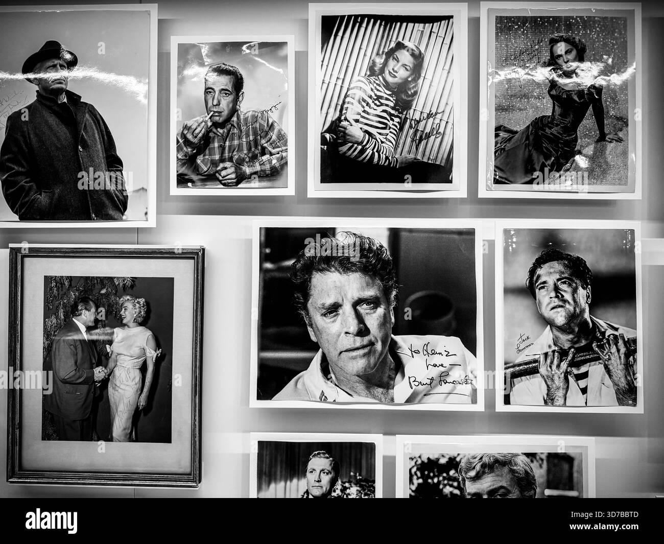 Parete di ritratti fotografici esposti all'interno della mostra del museo del cinema sul cinema e la narrazione visiva. Foto Stock