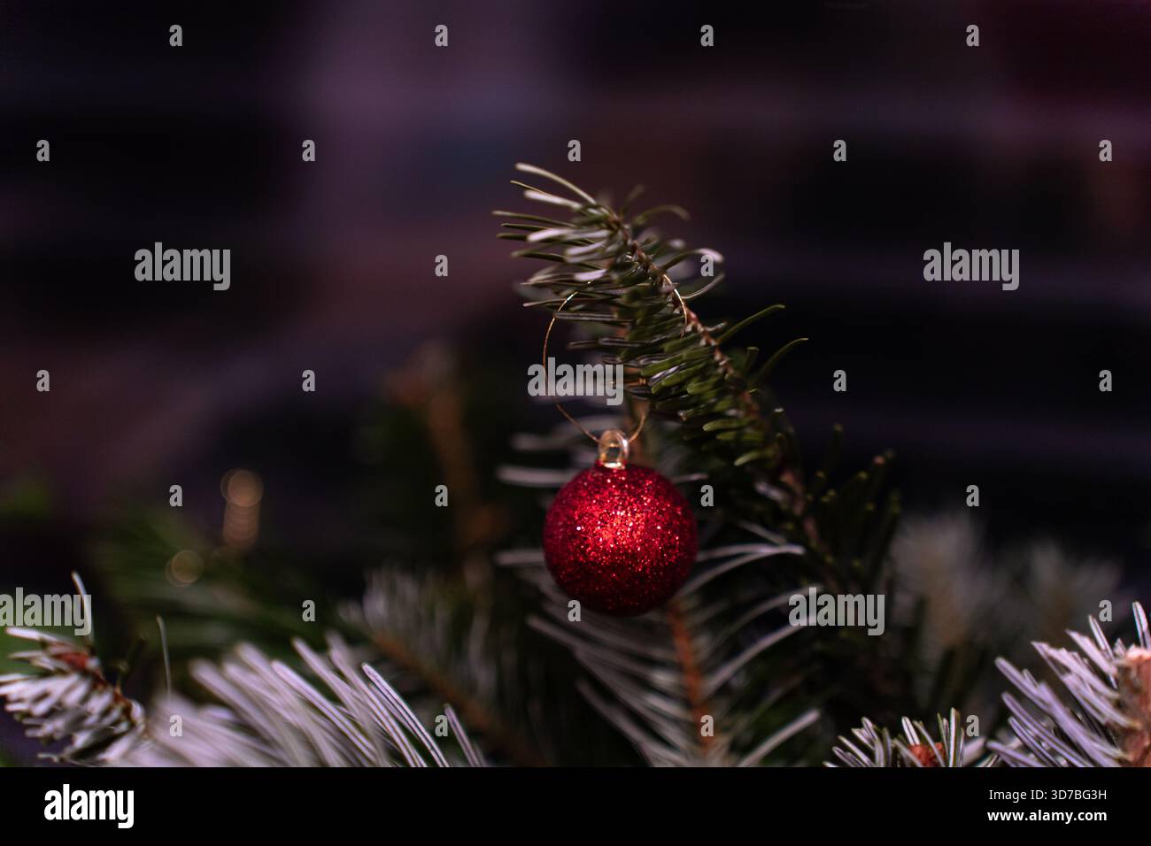 Un albero di Natale decorato con luci e ornamenti, posizionato all'interno di una struttura a telaio in legno (serra/giardino d'inverno) accanto ad una grande stella di carta Foto Stock