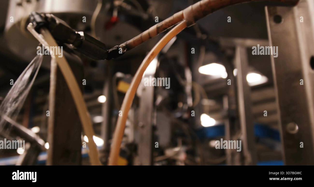 Mostra tubi flessibili gialli traslucidi e fili isolati che attraversano il pavimento della fabbrica, con montanti metallici Foto Stock