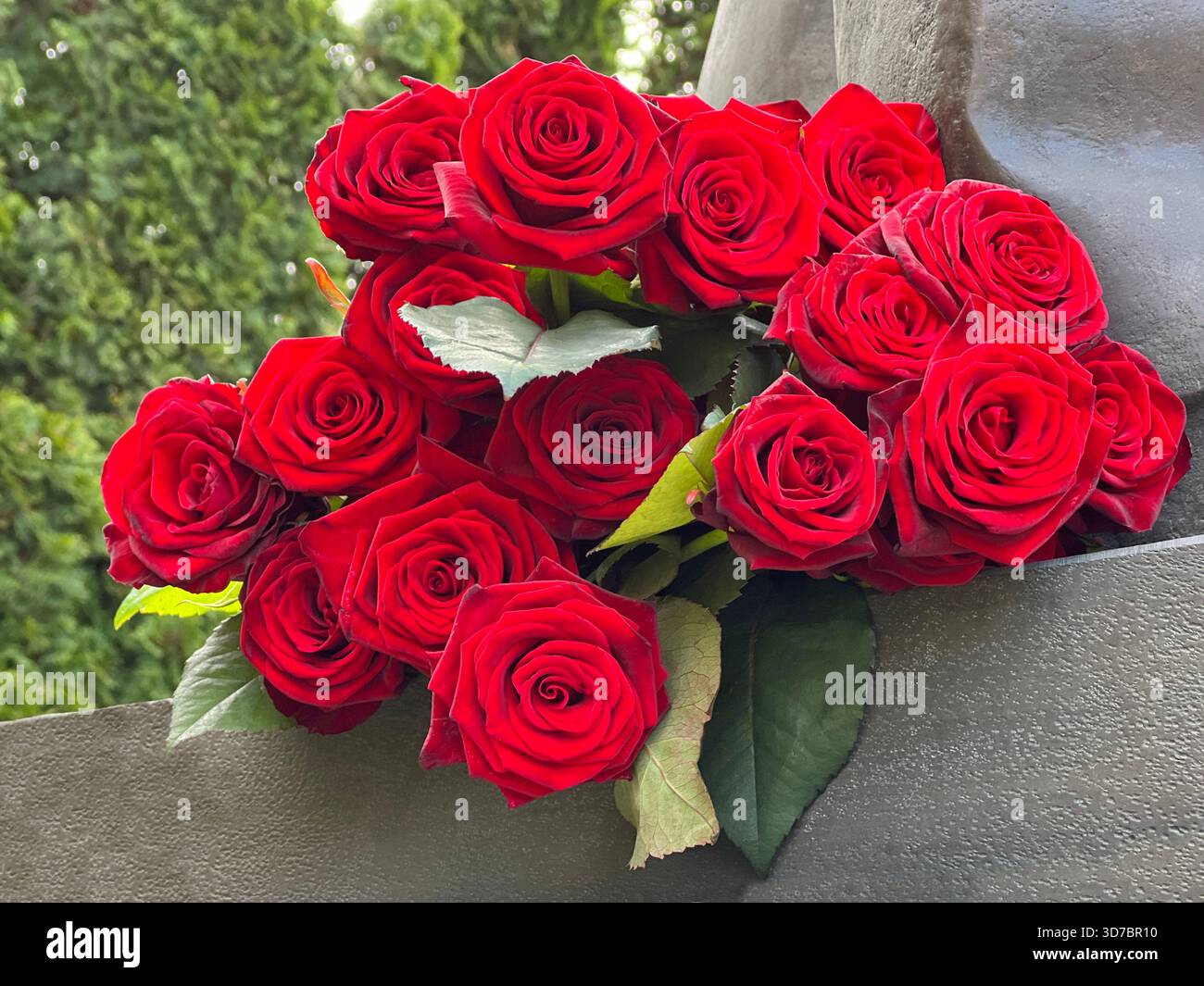 Bouquet di rose rosse sul monumento Foto Stock