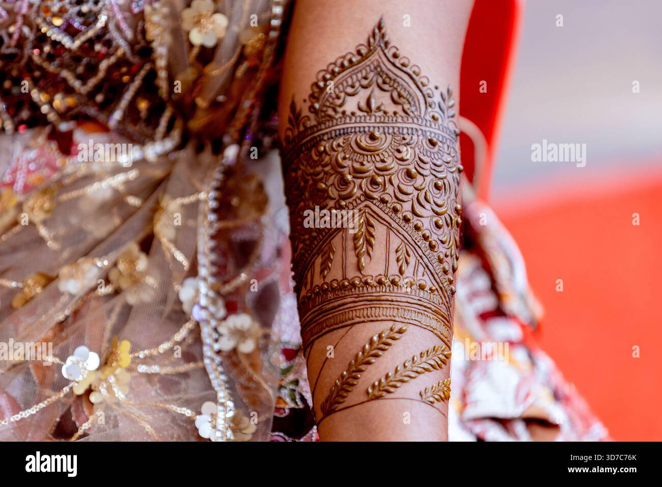 Questa immagine mostra la dettagliata arte dell'henné, una forma tradizionale di body art spesso vista durante matrimoni e celebrazioni Foto Stock