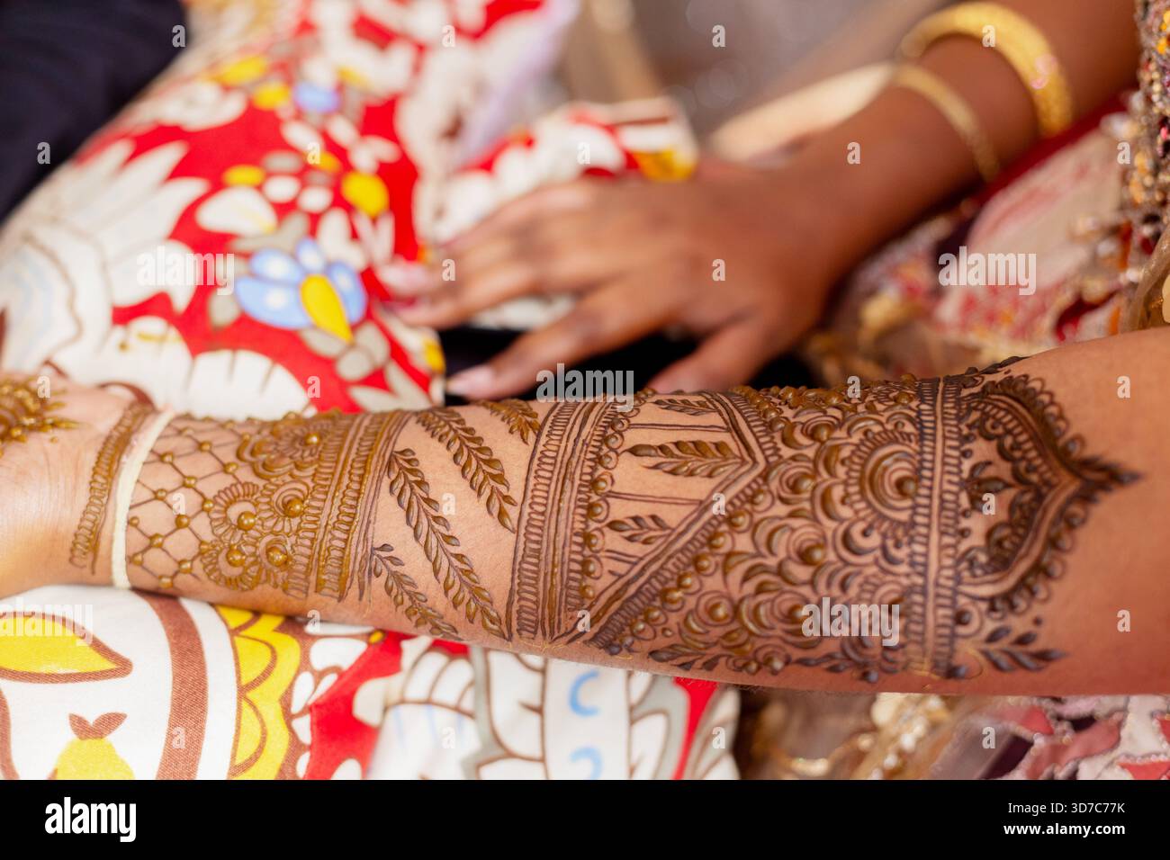 Questa immagine mostra un dettagliato design all'henné, una forma d'arte tradizionale spesso utilizzata per celebrazioni e matrimoni Foto Stock