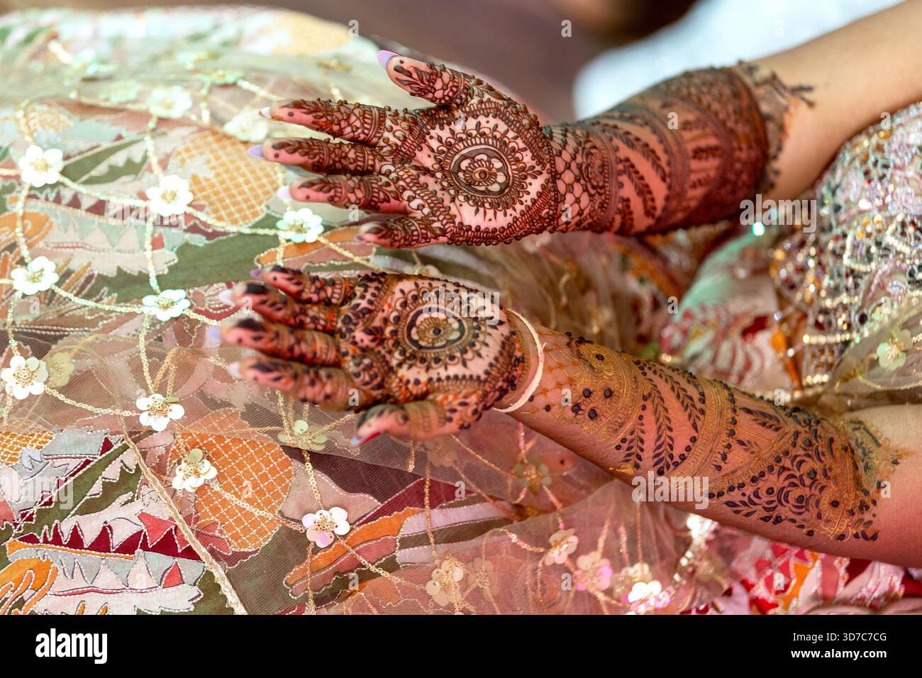 Splendida arte henné a portata di mano, tradizionale cerimonia di nozze indiana Foto Stock