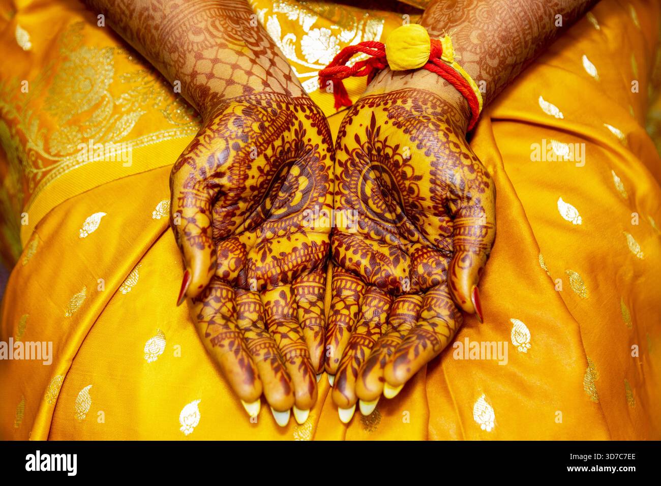 Splendida arte henné a portata di mano, tradizione di nozze indiana, primi piani, colori vivaci Foto Stock