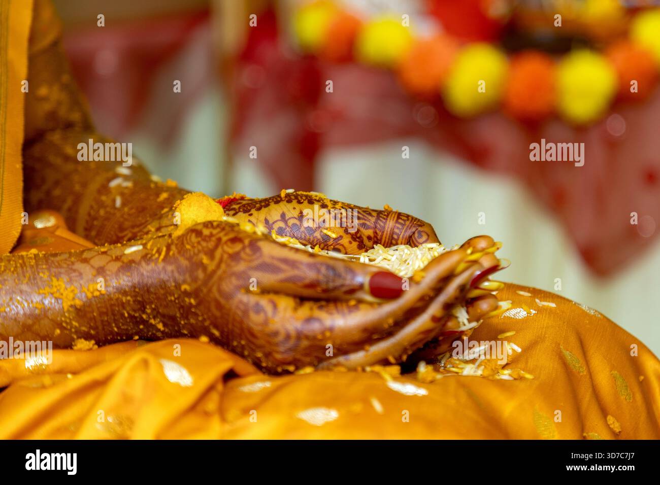 Cerimonia di nozze indiana con mani coperte di henné che tengono riso e curcuma Foto Stock