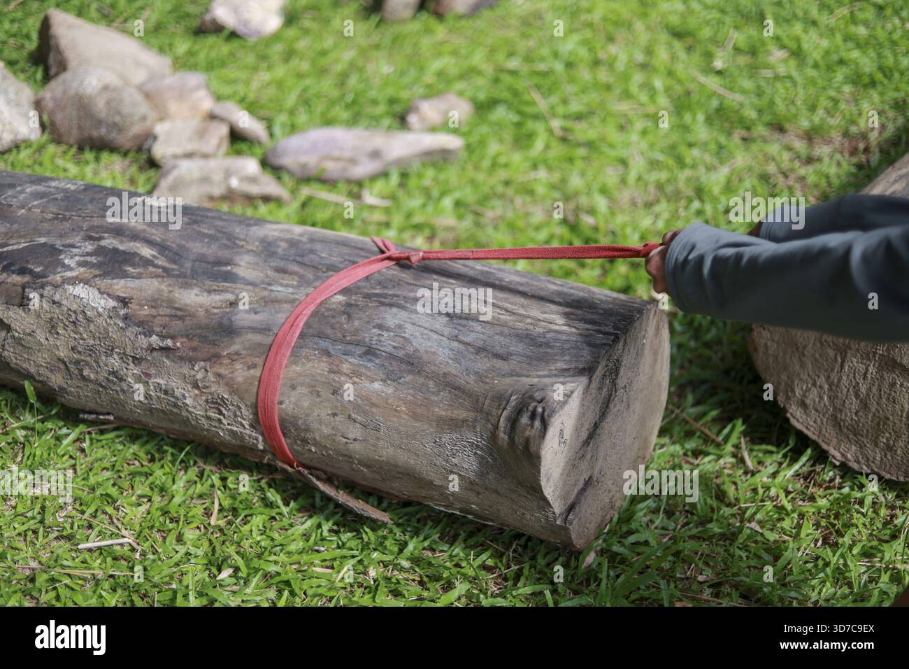 Persona che mostra grande sforzo e forza mentre tira tronchi pesanti con la cinghia rossa sull'erba verde. Questa attività all'aperto mostra determinazione e durezza Foto Stock