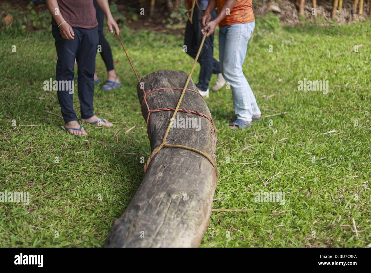 Gruppo determinato che mostra il lavoro di squadra e lo sforzo, tirando un grosso tronco di legno con la corda sul prato verde. Un'attività all'aperto che dimostra la collaborazione e Foto Stock