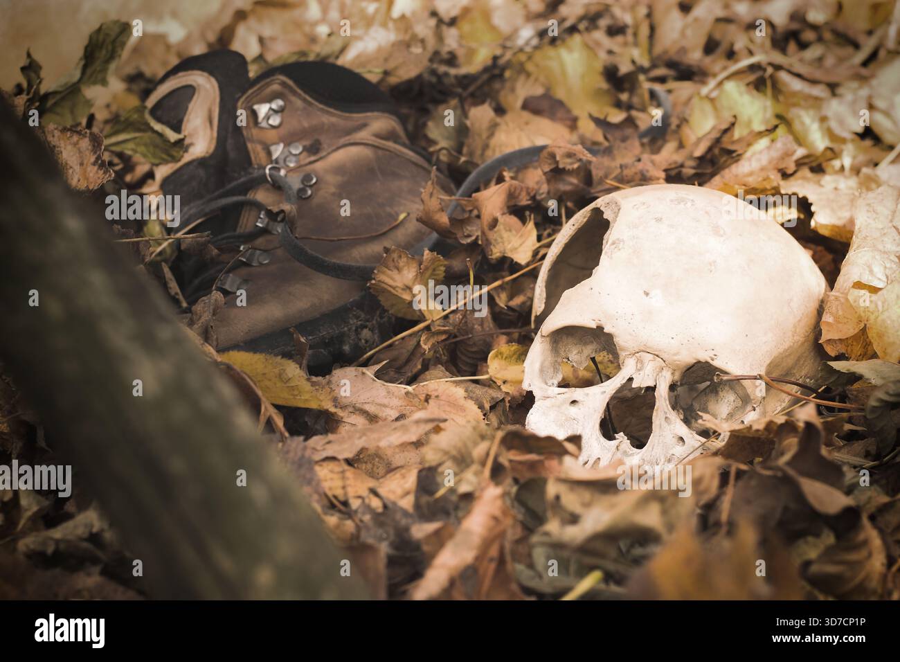 Teschio umano e stivali sepolti nella foresta, concetto di scena del crimine Foto Stock