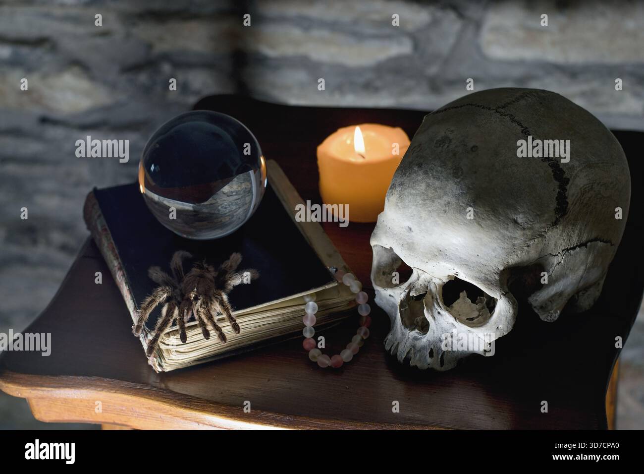 Reliquie rituali mistiche occulte: Teschio umano, candela, sfera di cristallo, vecchio libro e ragno Foto Stock
