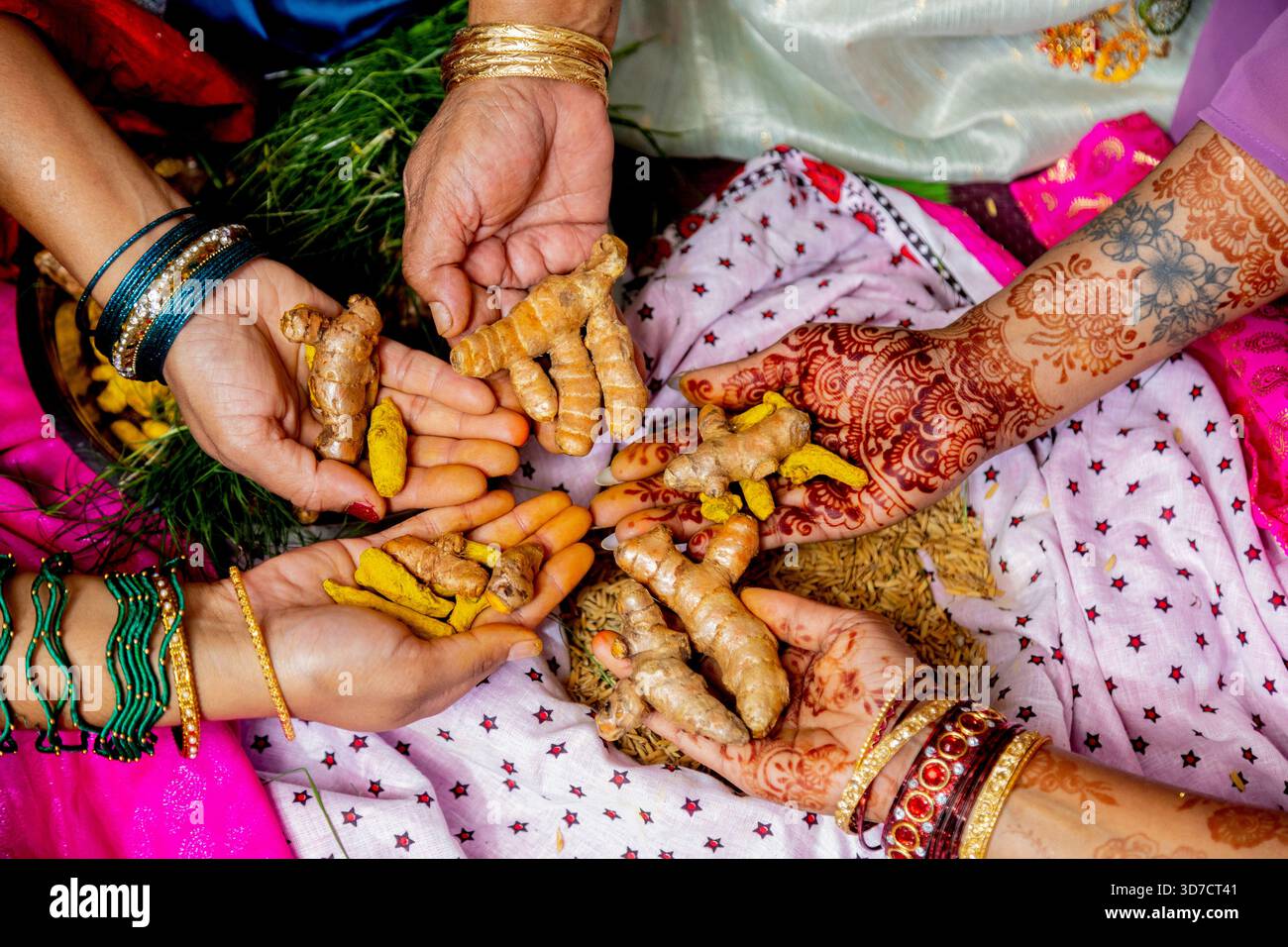 Mani che tengono radici di curcuma e polvere, tradizione di cerimonia nuziale indiana Foto Stock