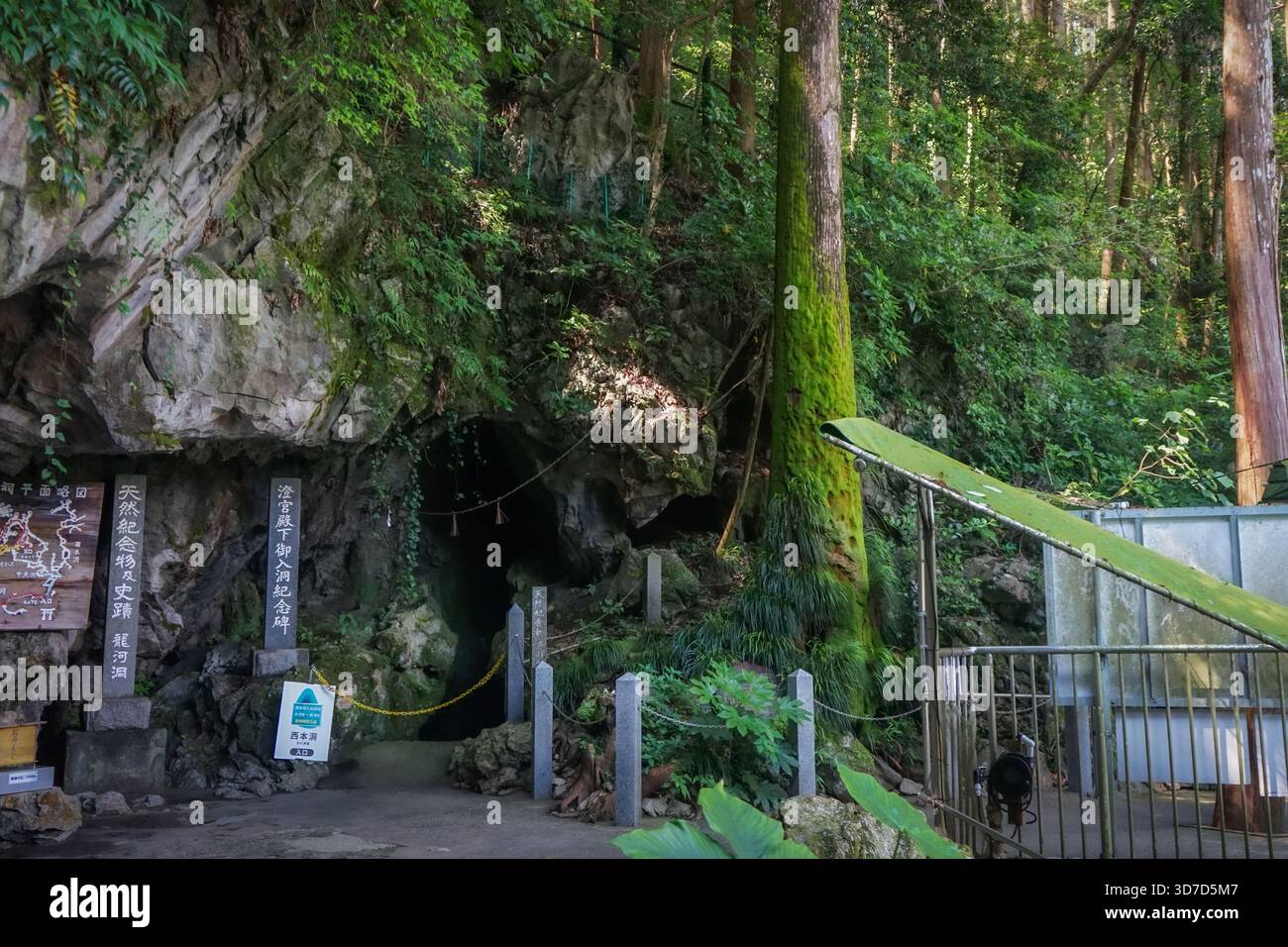 Alberi e foreste ricoperti di muschio circondano l'ingresso alla Grotta di Ryugado a Kami, Kochi, Giappone Foto Stock