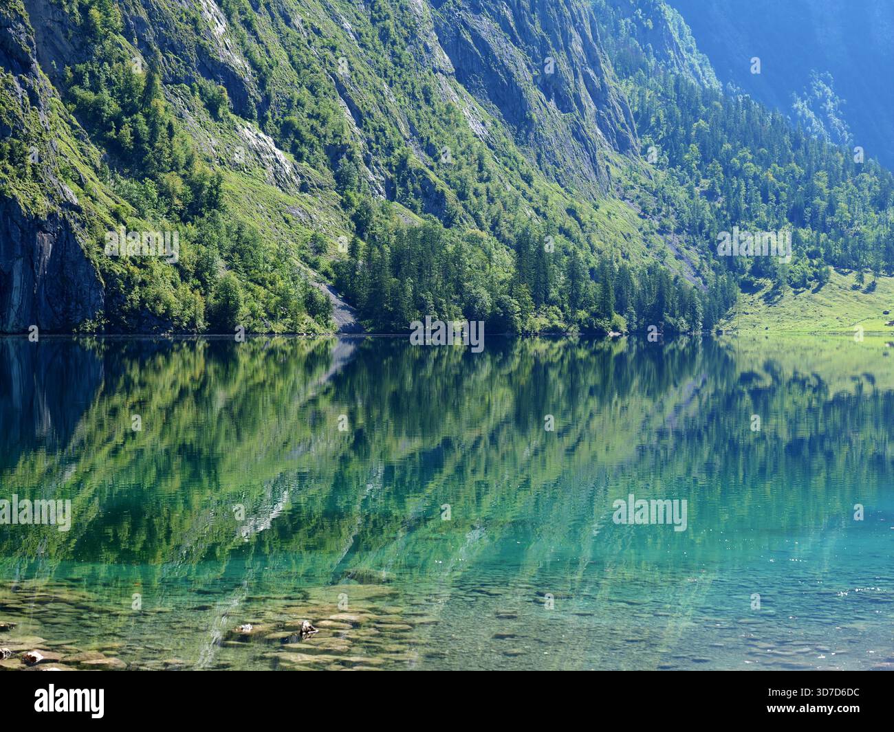 Le acque turchesi di Obersee riflettono le scogliere e i prati boscosi delle Alpi Berchtesgaden. Idilliaco. Copyspace. Foto Stock