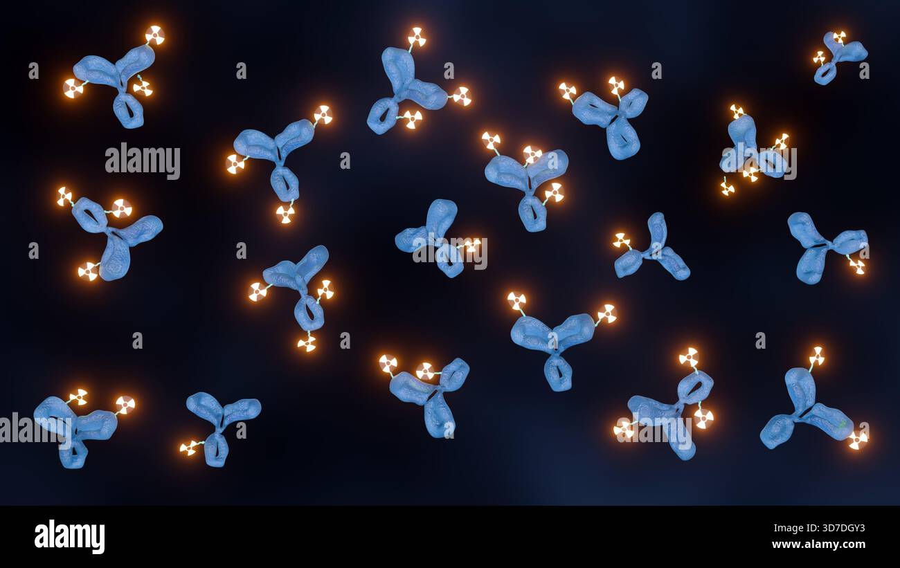 Rendering 3D di un Radioimmunoconiugato. Presenta un anticorpo monoclonale mirato collegato, tramite un chelatore, a un radionuclide o a un isotopo radioattivo Foto Stock