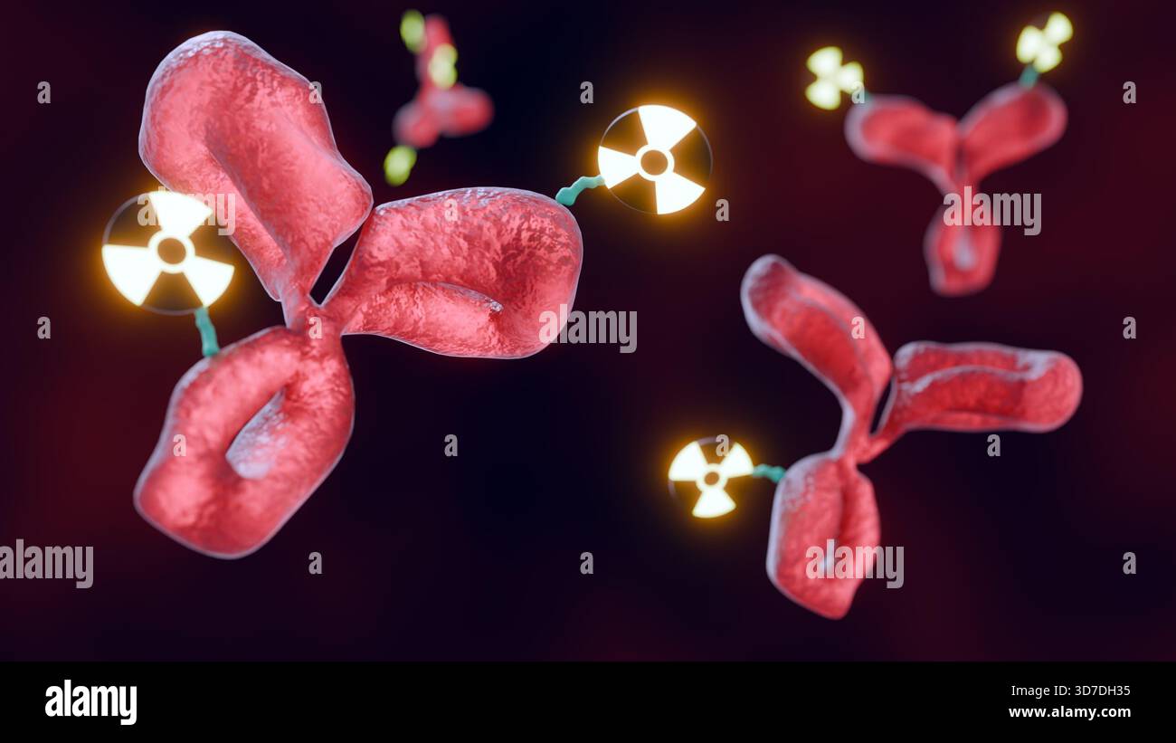 Rendering 3D di un Radioimmunoconiugato. Presenta un anticorpo monoclonale mirato collegato, tramite un chelatore, a un radionuclide o a un isotopo radioattivo Foto Stock