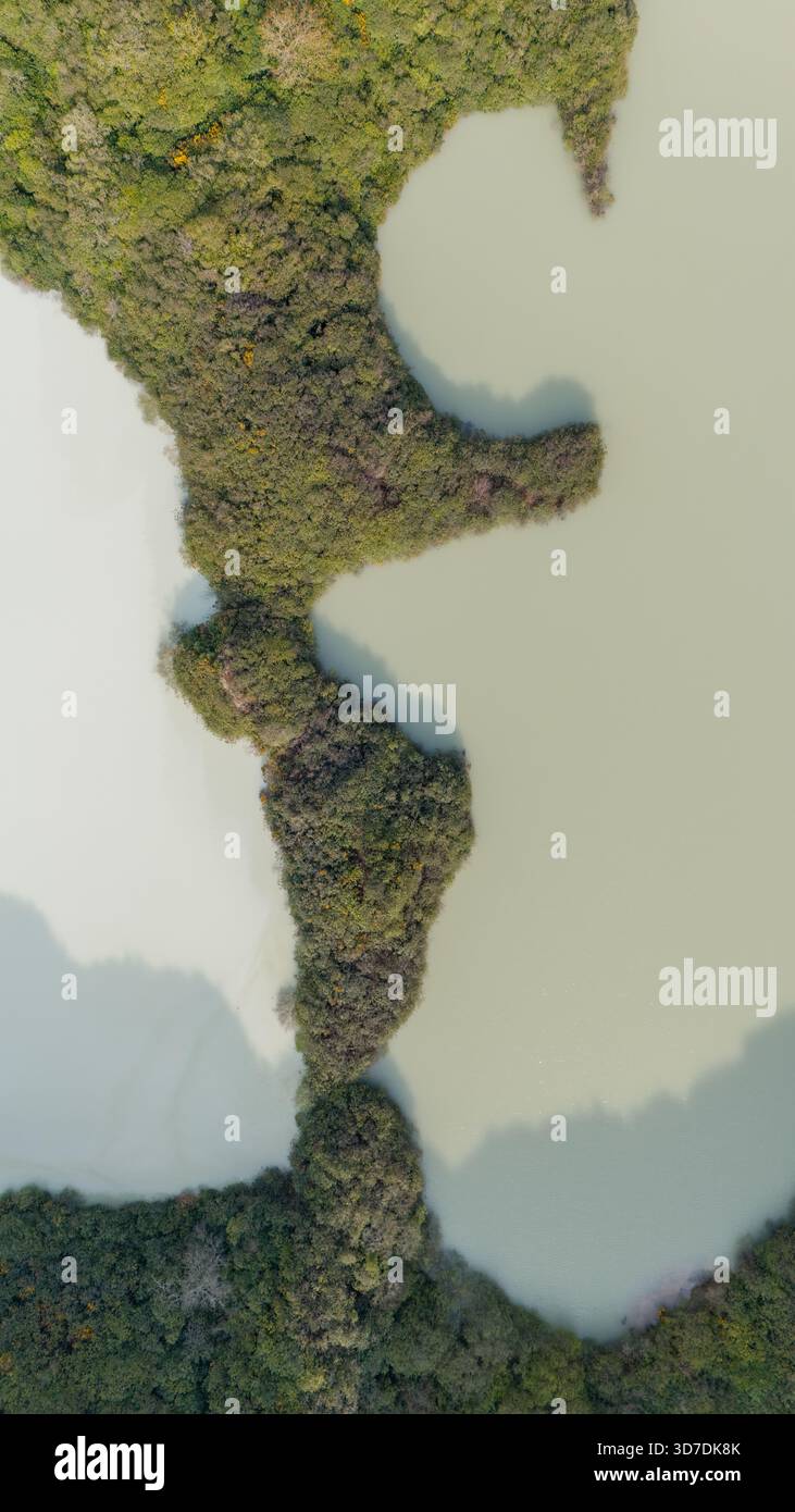 Veduta aerea di uno stupefacente contrasto di vegetazione lussureggiante con le acque lattiginose dell'argilla Works, Saint Austell, Regno Unito. Foto Stock