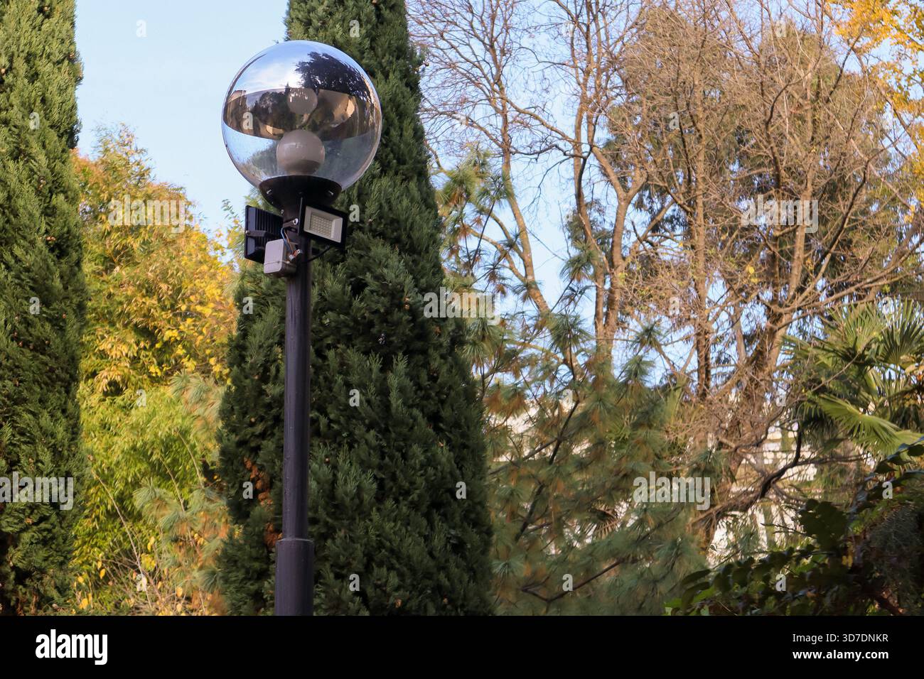 Moderna lampada esterna con grande sfera di vetro e lampade a inondazione posizionate vicino ad alberi sempreverdi e decidui in transizione stagionale. Foto Stock