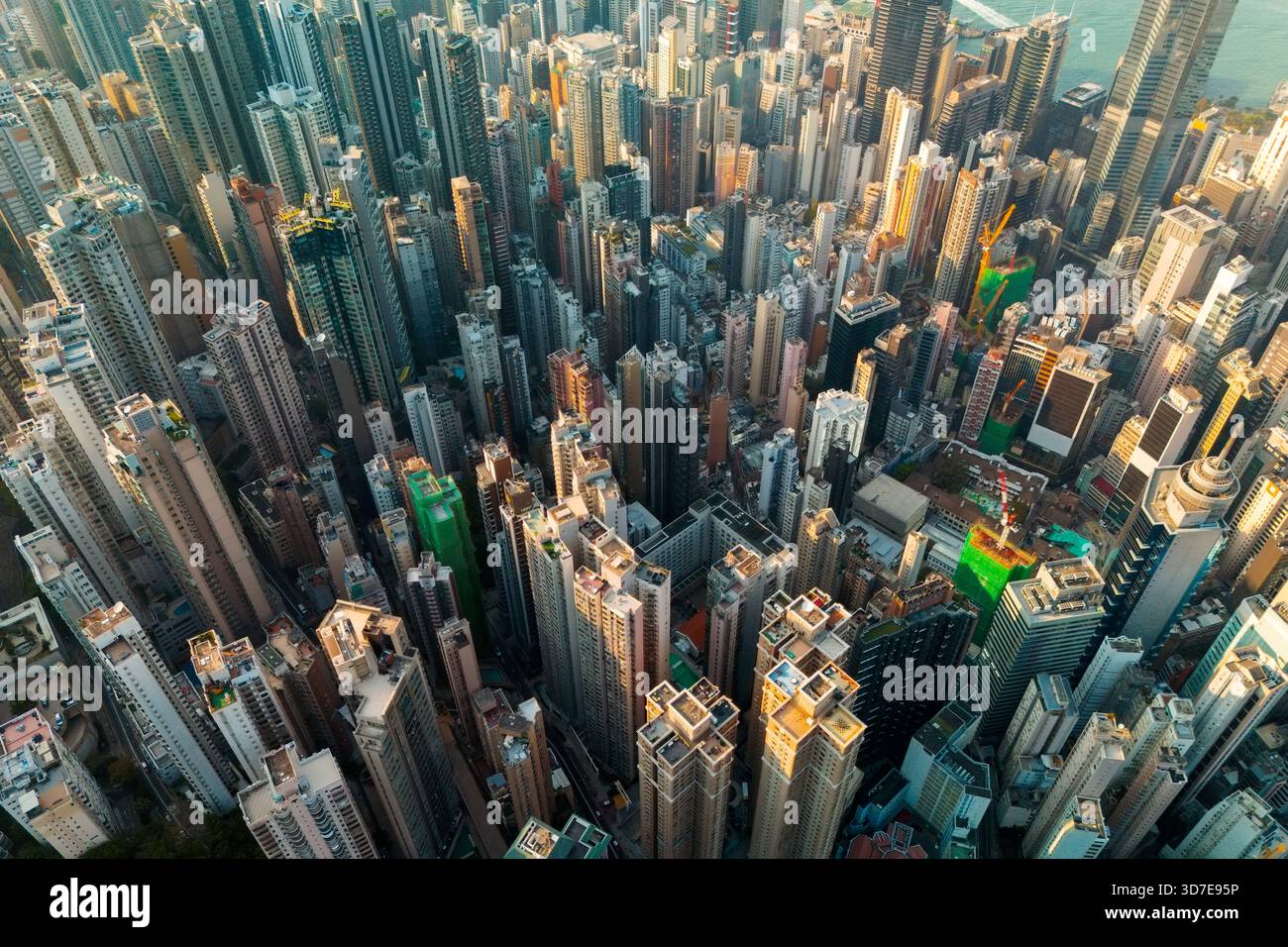Una prospettiva dall'alto verso il basso su Hong Kong rivela l'incredibile densità dei suoi alti edifici. La luce del sole scorre attraverso le torri, evidenziando il Foto Stock